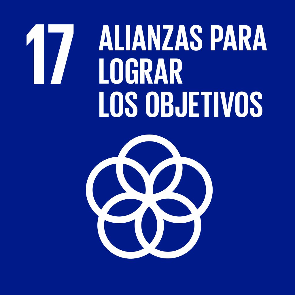 ODS 17 – Alianzas para lograr los objetivos
